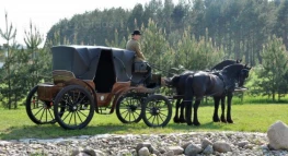 Karietų ir žirgų nuoma