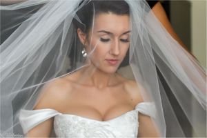 Vestuvių fotografas
