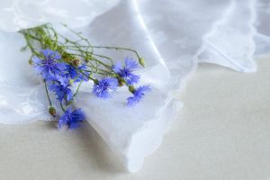 Sodyba „Druskų Miškas“