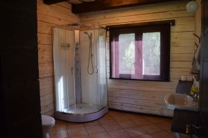 合 Trakų vienkiemis