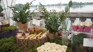 Food Projects - viskas Jūsų vestuvių šventiniam stalui!