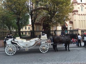 Prabangios baltos karietos nuoma