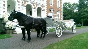 Prabangios baltos karietos nuoma