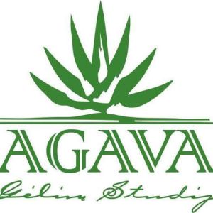 Vestuvinė atributika, puokštės, balionai.