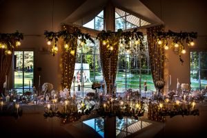 Vila „Avirio Vingis“