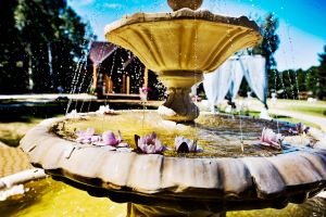 Vila „Avirio Vingis“