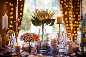 Vila „Avirio Vingis“