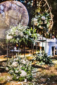 Vila „Avirio Vingis“