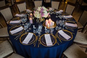 Vila „Avirio Vingis“