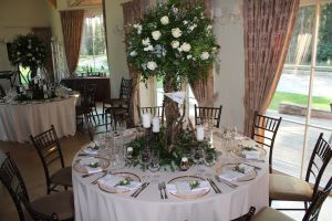 Vila „Avirio Vingis“