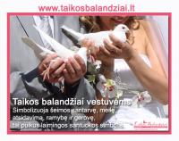 Meilės Laiškanešiai