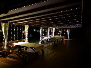 Bertašiūnų vienkiemis