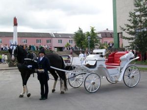 Karieta Jūsų šventei