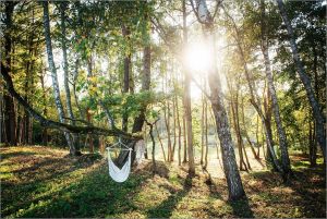 Pomiškis — miško aura Jūsų renginiui