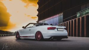 Audi Rental Lithuania