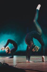 DIAMONDS SHOW - Šou pasirodymai