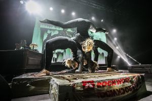 DIAMONDS SHOW - Šou pasirodymai