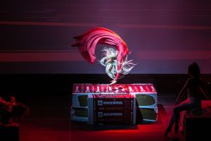 DIAMONDS SHOW - Šou pasirodymai