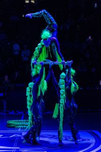 DIAMONDS SHOW - Šou pasirodymai