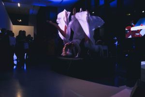 DIAMONDS SHOW - Šou pasirodymai