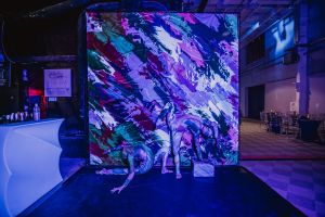 DIAMONDS SHOW - Šou pasirodymai