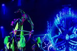 DIAMONDS SHOW - Šou pasirodymai