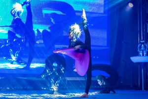 DIAMONDS SHOW - Šou pasirodymai