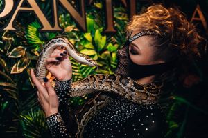 DIAMONDS SHOW - Šou pasirodymai