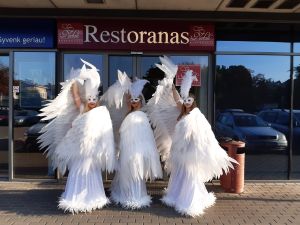 Šokėjų kolektyvas Leila Dance. Šokėjos Jūsų šventei.