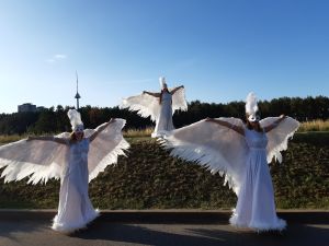 Šokėjų kolektyvas Leila Dance. Šokėjos Jūsų šventei.
