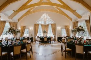 Vila „Avirio Vingis“