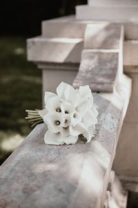 DAveikla / vestuvių planavimas, dekoravimas, koordinavimas