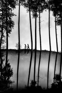 Sakalas Photography.lt