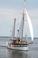 „Auksinis vanduo“