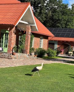 PLATELIŲ  DVARO  PALIVARKAS - sodyba šventėms