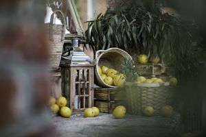 PLATELIŲ  DVARO  PALIVARKAS - sodyba šventėms