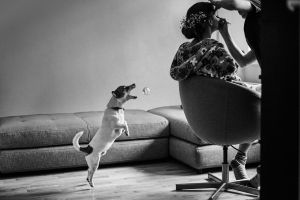 Vestuvių fotografija, kurioje dar liko vestuvių