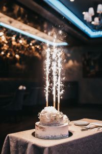 Vilnius Park Plaza –  Vieta Jūsų šventei!