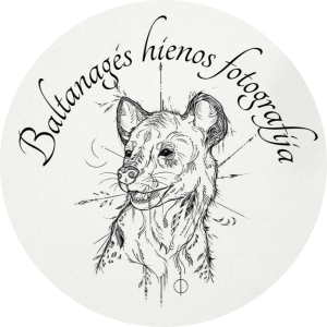 Baltanagės Hienos fotografija