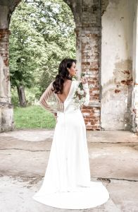 Baltanagės Hienos fotografija