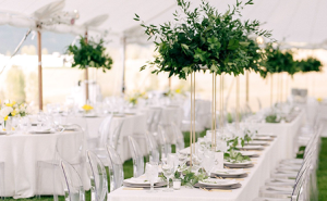 Palapinių, stalų ir kėdžių, staltiesių ir kt. nuoma