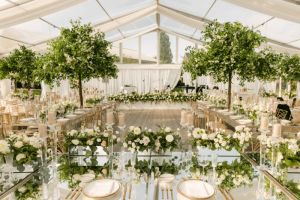 Palapinių, stalų ir kėdžių, staltiesių ir kt. nuoma