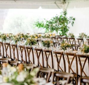 Palapinių, stalų ir kėdžių, staltiesių ir kt. nuoma