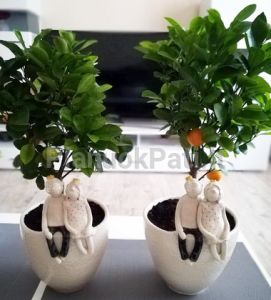 Vestuvių dovanos tėvams, liudininkams nuo jaunųjų, smulkios dovanėlės svečiams