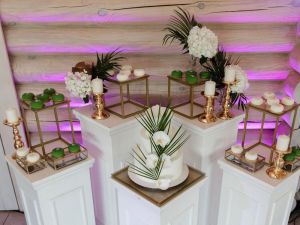 Vila PAS ŠEŠTOKĄ Molėtų rajone prie ežero 80 vietų