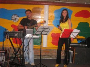 Profesionalūs muzikantai