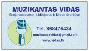 Muzikantas Vidas