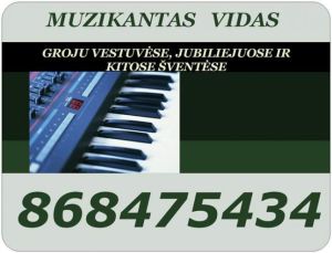 Muzikantas Vidas