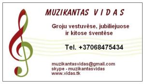 Muzikantas Vidas