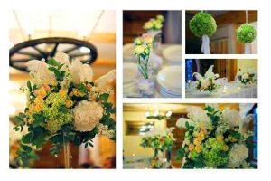 Sodyba vestuvėms, šeimos šventėms „Bagdononių Slėnis“